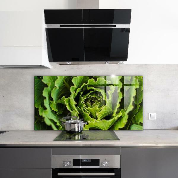 Splashback for kitchen walls Cabbage flower leaves