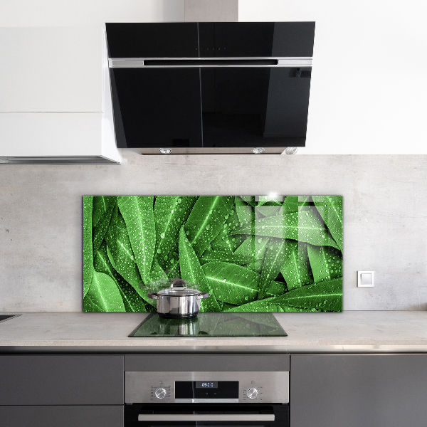 Splashback for kitchen walls Green leaves after rain