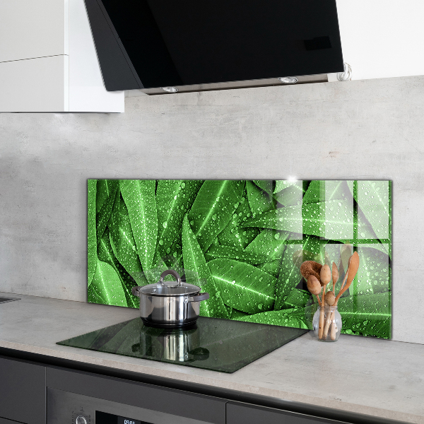 Splashback for kitchen walls Green leaves after rain
