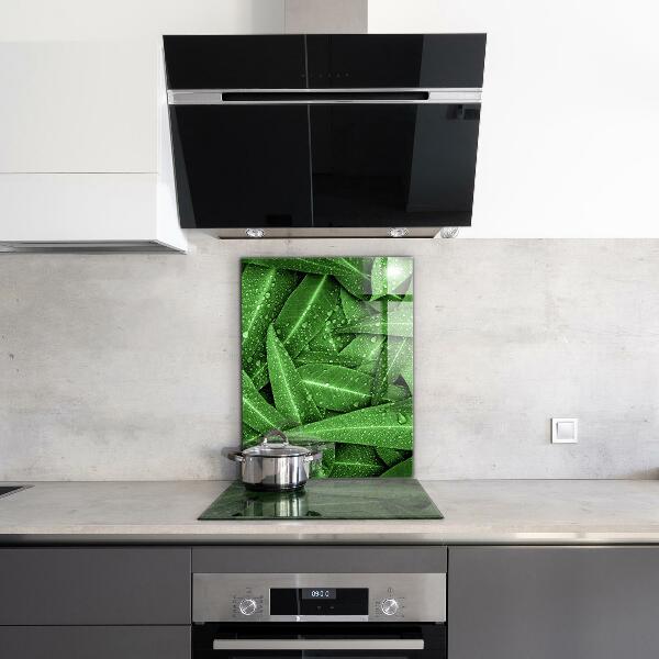 Splashback for kitchen walls Green leaves after rain