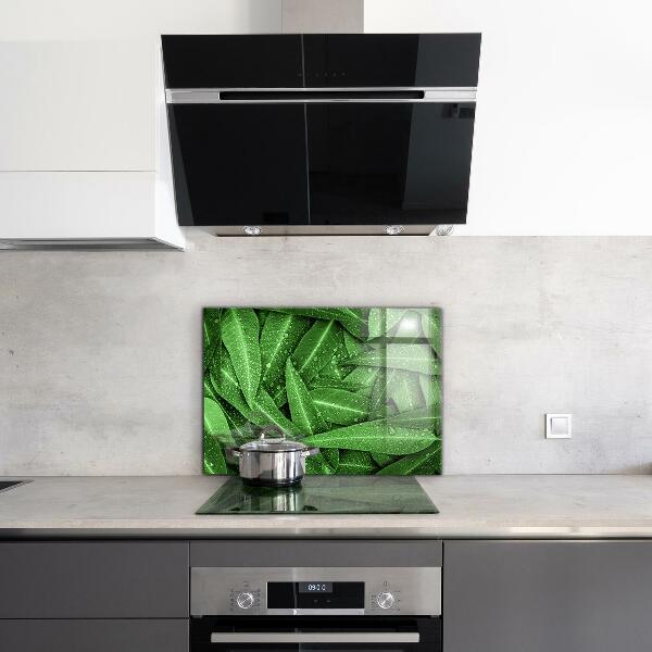 Splashback for kitchen walls Green leaves after rain