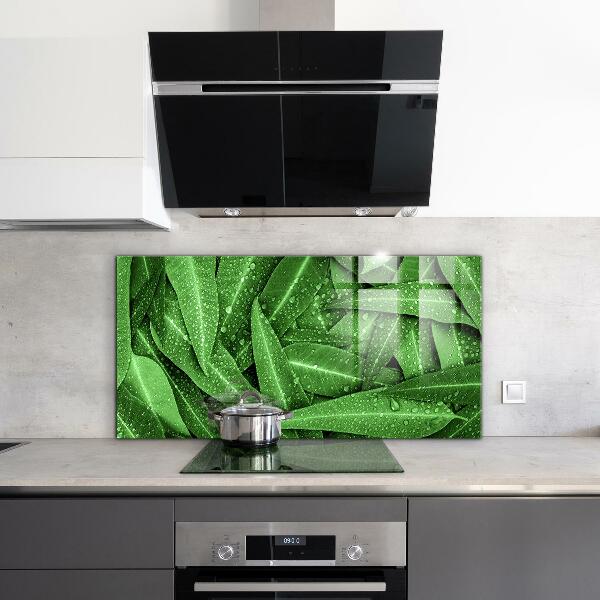 Splashback for kitchen walls Green leaves after rain