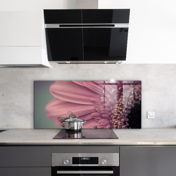 Splashback for kitchen walls Flower margaretka gerbera