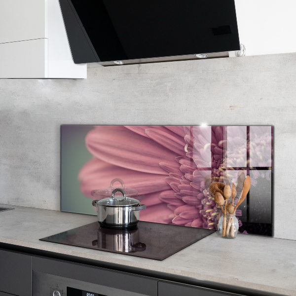 Splashback for kitchen walls Flower margaretka gerbera
