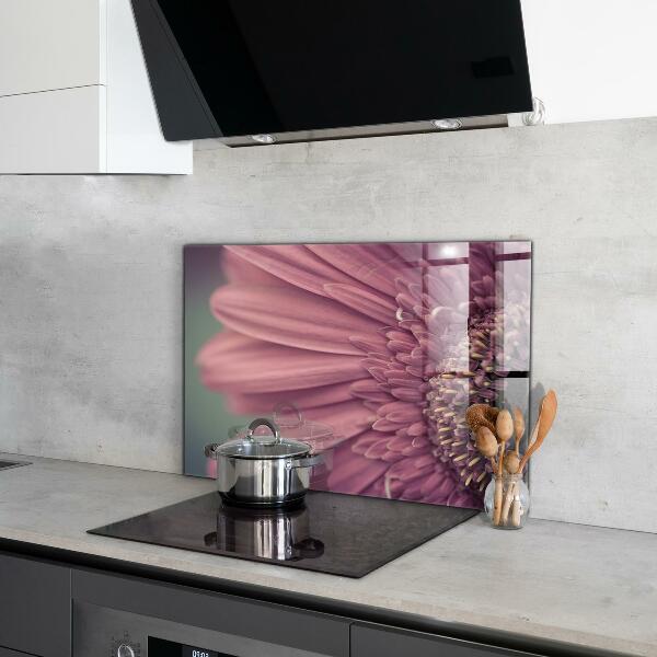 Splashback for kitchen walls Flower margaretka gerbera