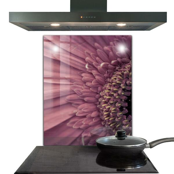 Splashback for kitchen walls Flower margaretka gerbera