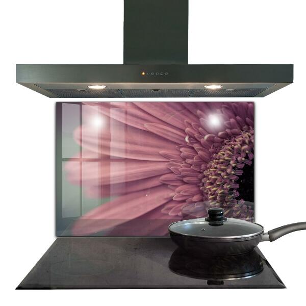 Splashback for kitchen walls Flower margaretka gerbera