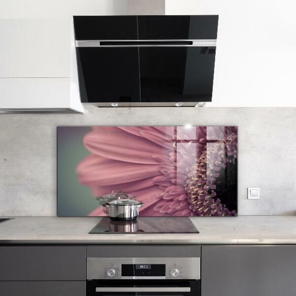 Splashback for kitchen walls Flower margaretka gerbera