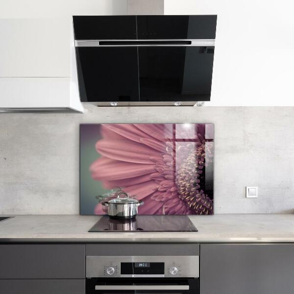 Splashback for kitchen walls Flower margaretka gerbera