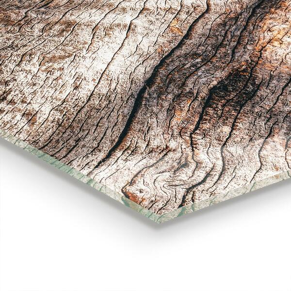 Kitchen splashback Tree bark trunk texture