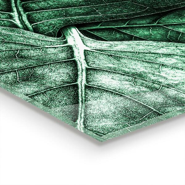 Splashback for kitchen walls Green leaf details