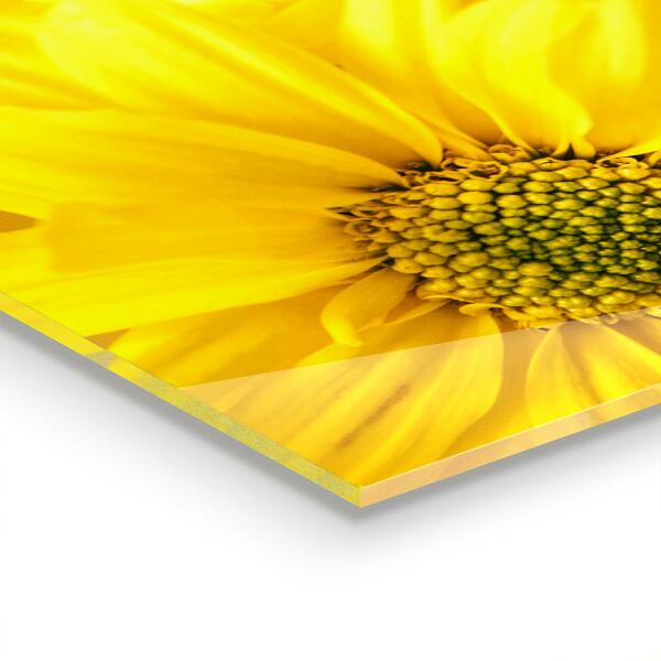 Kitchen splashback Summer yellow flowers