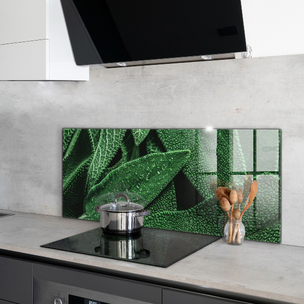 Kitchen splashback Green leaves after rain