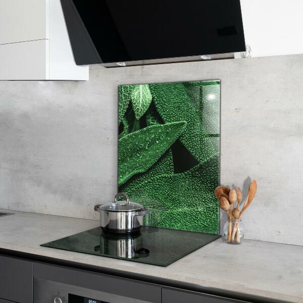 Kitchen splashback Green leaves after rain