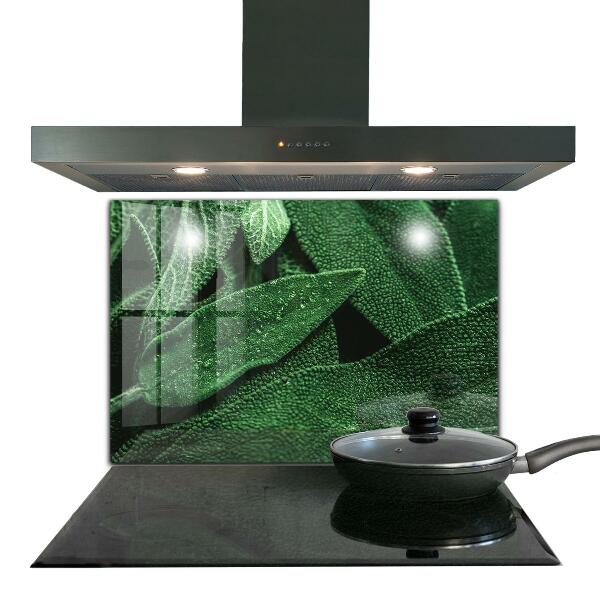 Kitchen splashback Green leaves after rain