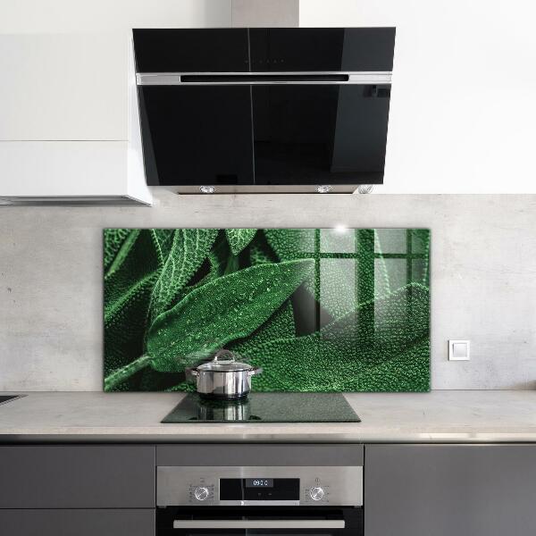 Kitchen splashback Green leaves after rain