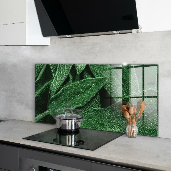 Kitchen splashback Green leaves after rain