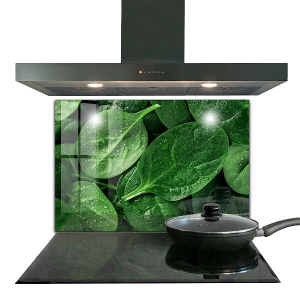 Kitchen splashback Spinach leaves health