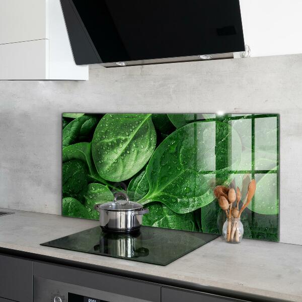 Kitchen splashback Spinach leaves health
