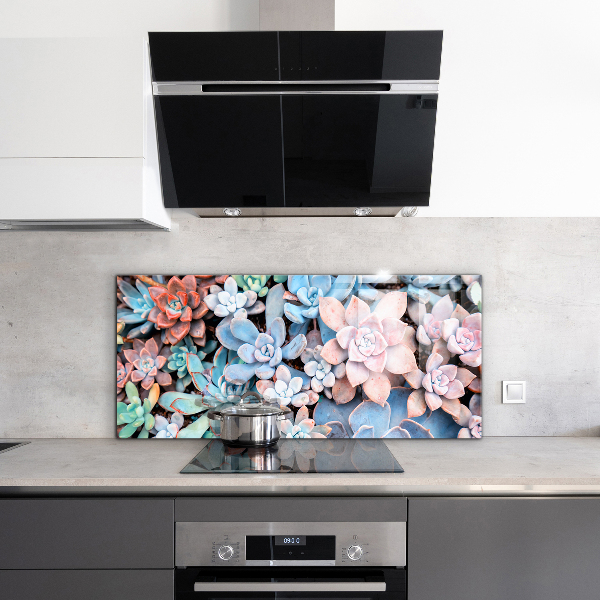 Kitchen splashback Colorful succulents