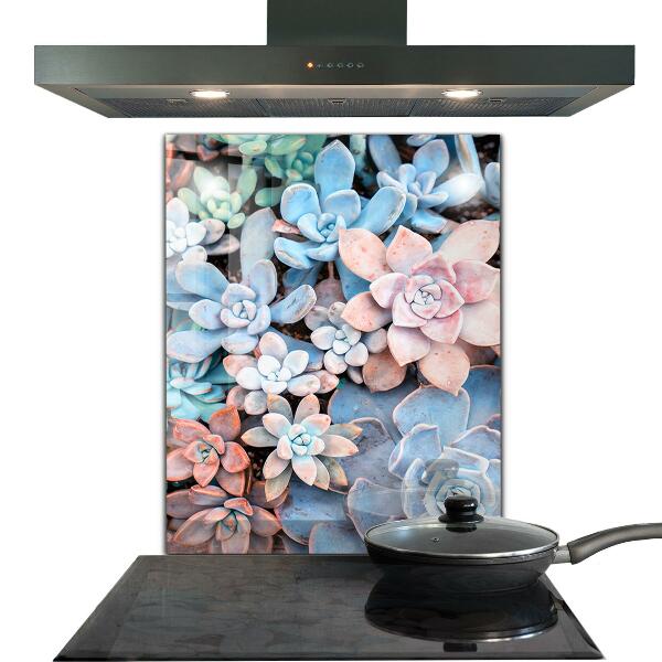 Kitchen splashback Colorful succulents