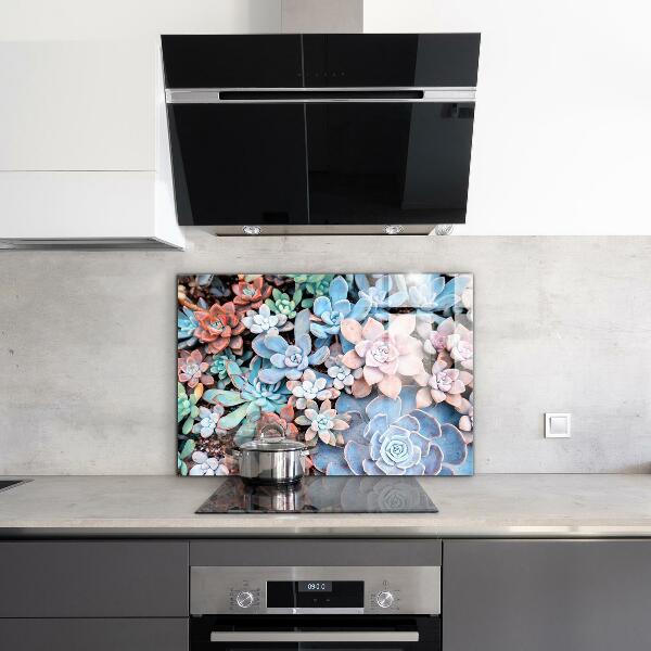 Kitchen splashback Colorful succulents