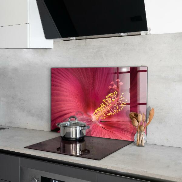 Kitchen splashback Pink hibiscus