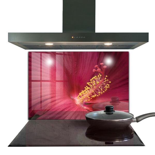 Kitchen splashback Pink hibiscus
