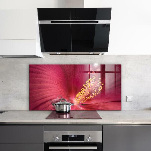 Kitchen splashback Pink hibiscus