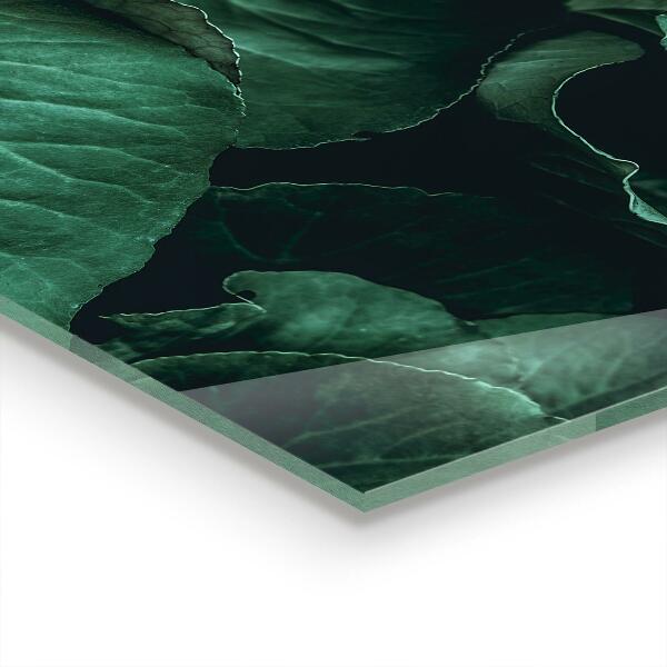 Kitchen splashback Dark green leaves
