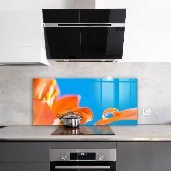 Kitchen splashback Orange flower