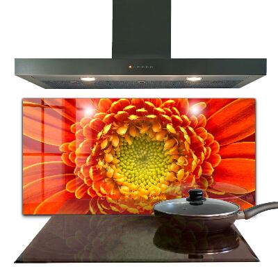 Kitchen splashback Orange gerbera flower