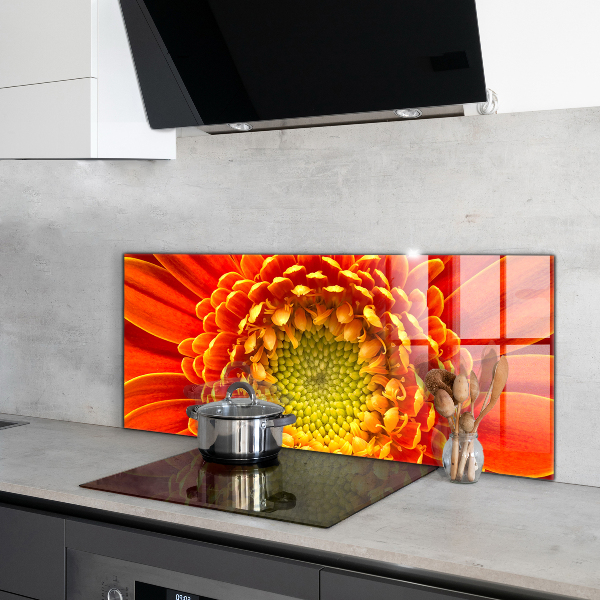 Kitchen splashback Orange gerbera flower