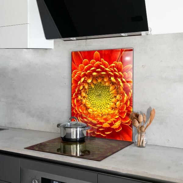 Kitchen splashback Orange gerbera flower