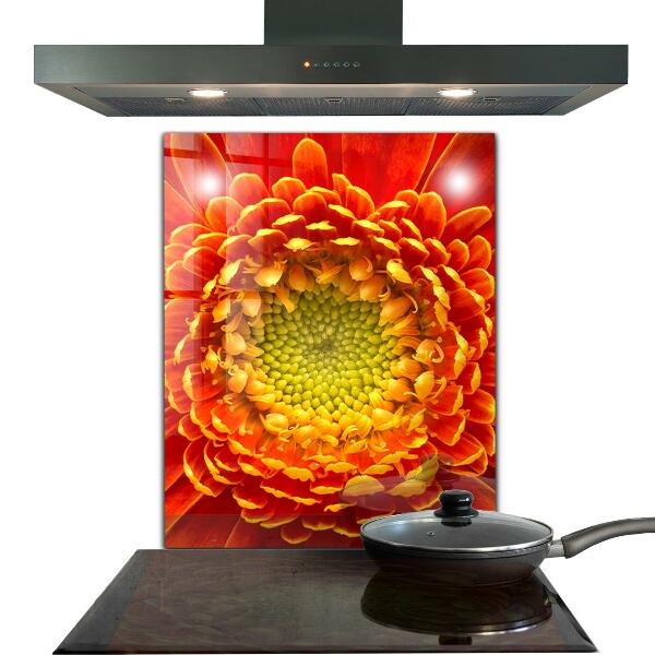 Kitchen splashback Orange gerbera flower