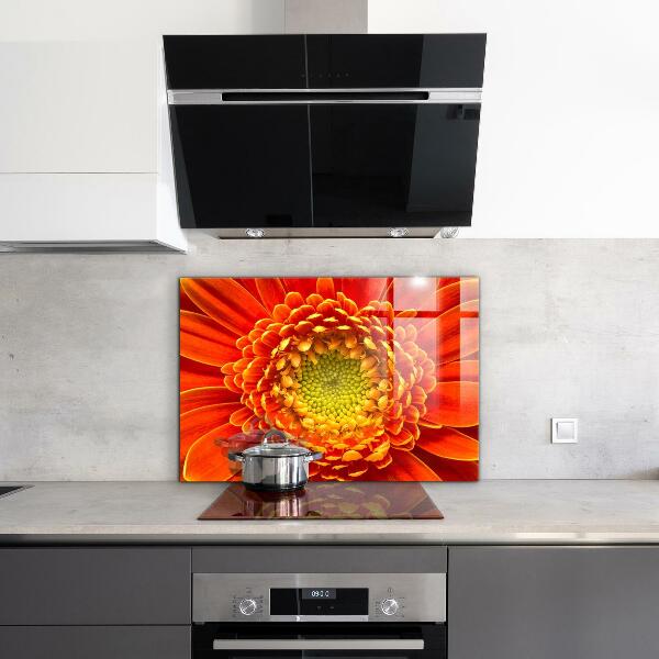 Kitchen splashback Orange gerbera flower
