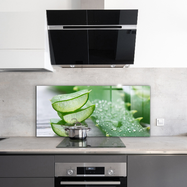 Kitchen splashback Aloe aloe vera plant