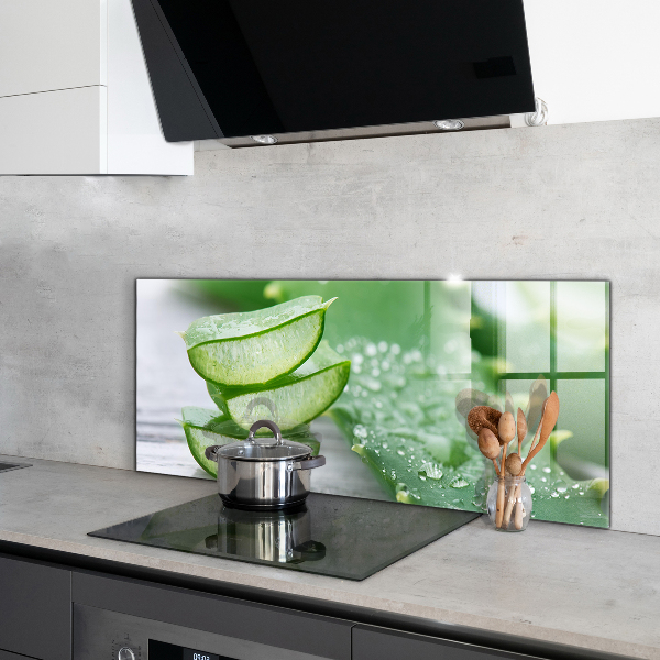 Kitchen splashback Aloe aloe vera plant