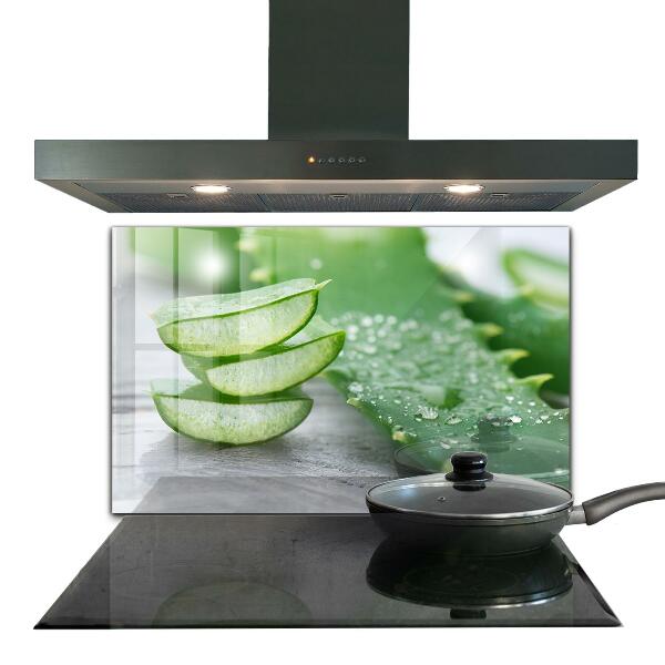 Kitchen splashback Aloe aloe vera plant