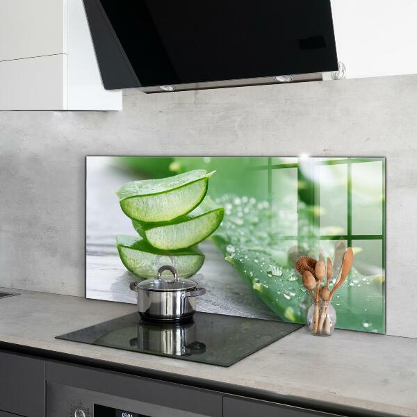 Kitchen splashback Aloe aloe vera plant