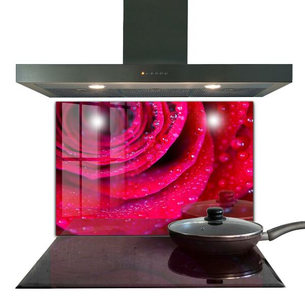 Kitchen splashback Rose symbol of love