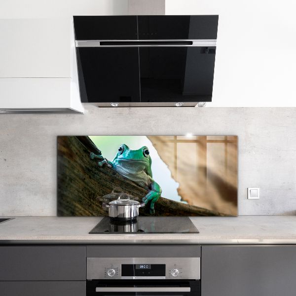 Kitchen wall panels Curious frog on a leaf