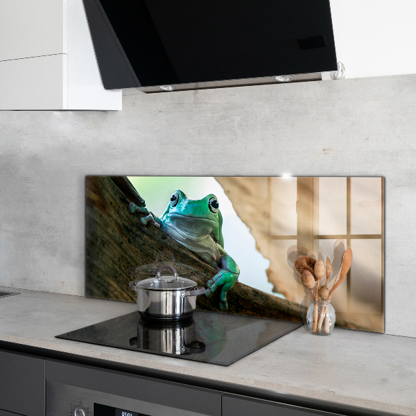 Kitchen wall panels Curious frog on a leaf