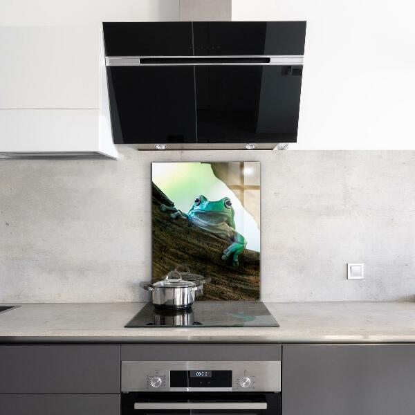 Kitchen wall panels Curious frog on a leaf