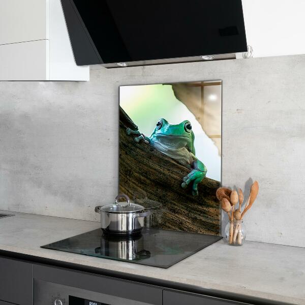 Kitchen wall panels Curious frog on a leaf