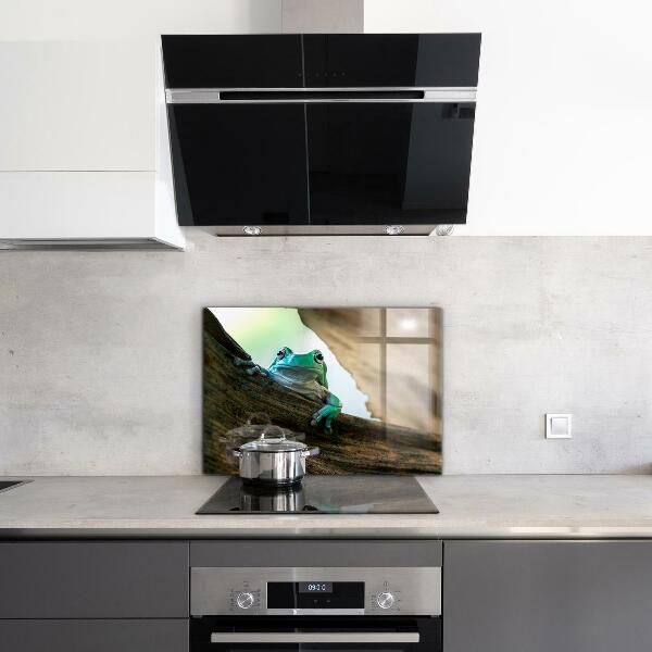 Kitchen wall panels Curious frog on a leaf