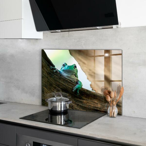 Kitchen wall panels Curious frog on a leaf