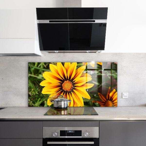 Kitchen splashback Yellow flower in the meadow