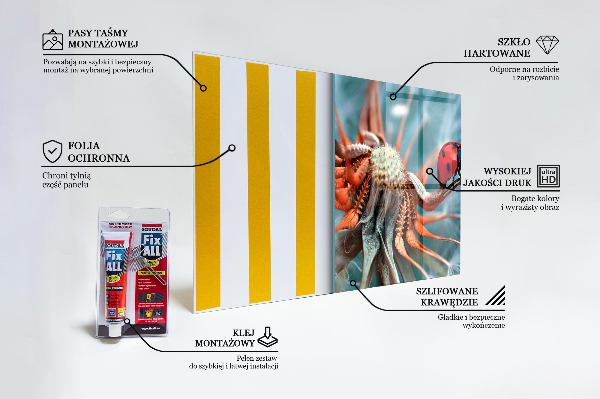 Kitchen wall panels Ladybug red beetle