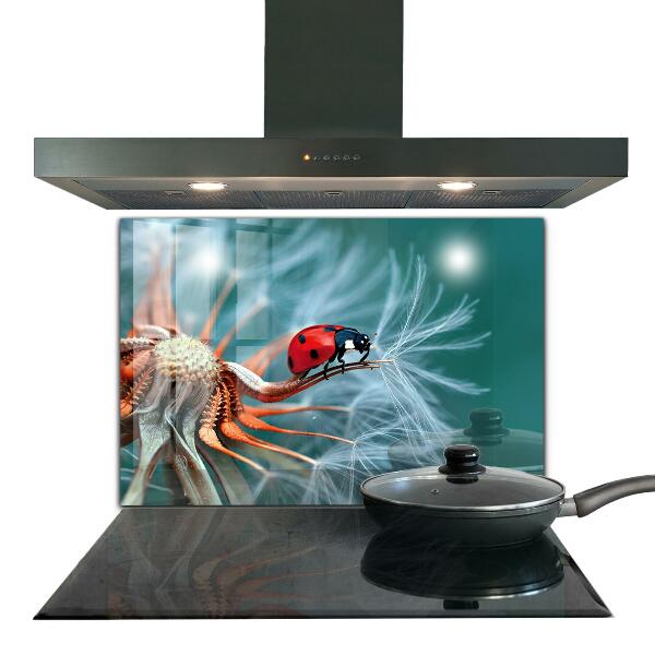 Kitchen wall panels Ladybug red beetle